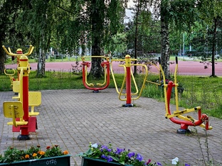 Физическая активность