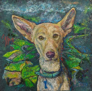 Зверский Каспер