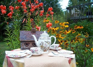 Истории из жизни