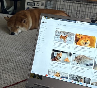 Профилактика заболеваний