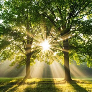 Что привносит нам жизнь сегодня