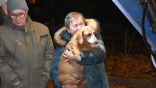 Спасение таксы сегодня в москве