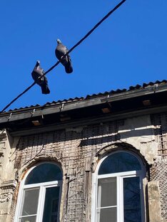 Старые дома с историями