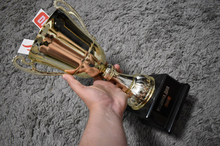 Достижения 🏆