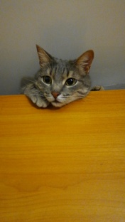 Ни минуты покоя...