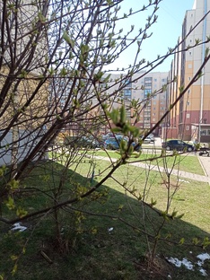 Природа дикая и одомашненая. 