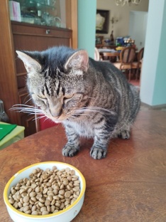 Блюда из мяса