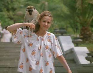 Путешествия 