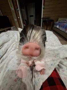 реборн свинка 