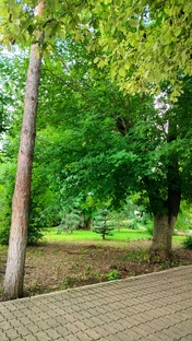 Караваева Роща, реабилитационный центр. 