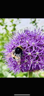 Фразы дня 🌿