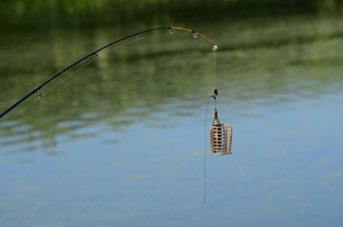 Фидерная ловля