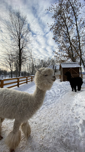 Куда сходить в Москве
