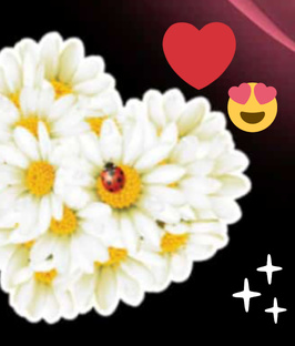 Клипы💜💜💜