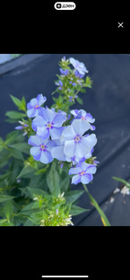 2024 год. Сад, огород, дача.