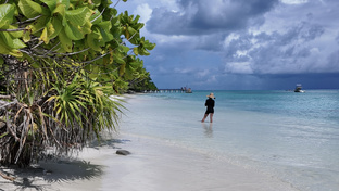 Обзоры местных островов 