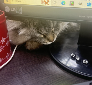 Дела кадастровые и около того