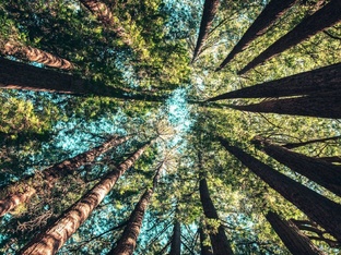 психология или эзотерика 