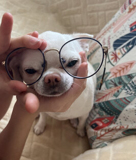 Бусинка на даче ❣️