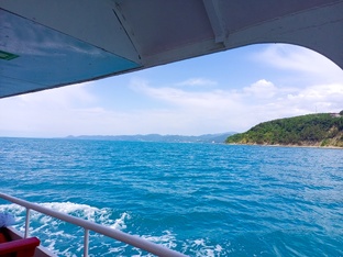 Коплю на отпуск 🏖