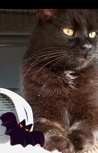 лето  ☀️🩷🎠🌸 2025 