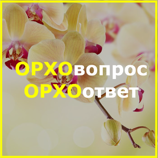 ОРХОвопрос - ОРХОответ