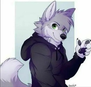 FURRY