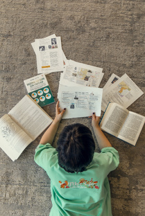 ОГЭ ЕГЭ Олимпиады на 💯