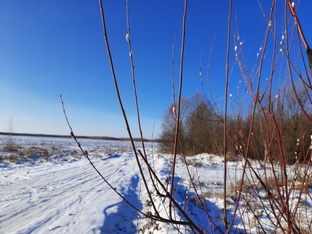"Мои видео за 20 дней". День 13-й