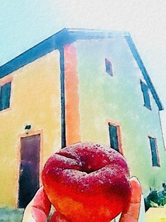 Вкусняшки юга🍑🍒🍉