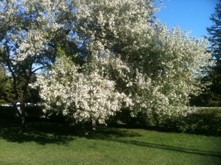 О духовном ....