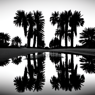 Фильмы, которые я смотрю