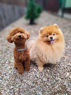 Полезности