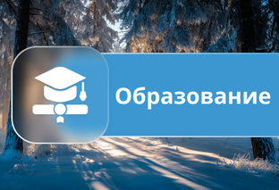 Образование 