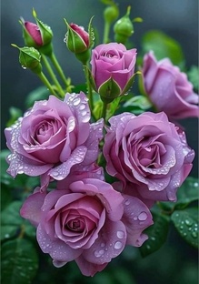 Музыкальное путешествие. 