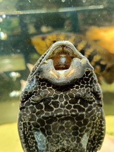 Посты из ТГ канала