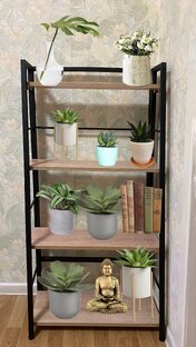 Покупки для дома