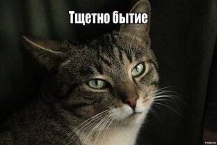 Разное