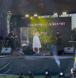 Мои песни 