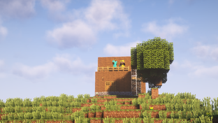 Видеоигра Minecraft