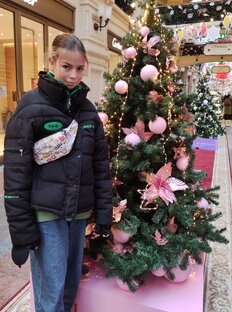 Новогоднее
