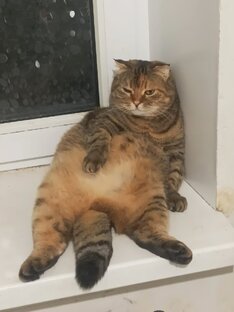 КУМИ говорит 