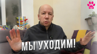 Где нас смотреть?