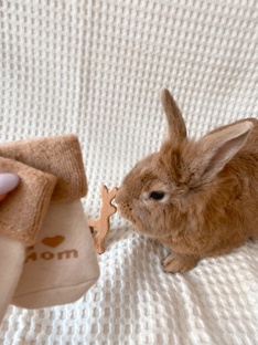 БЕРЕМЕННОСТЬ И РОДЫ