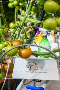 Господдержка