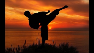 Обучение и советы для боевых искусств и дисциплин (бокс, муай тай, дзюдо и тд) 