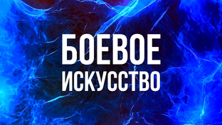 БОЕВОЕ ИСКУССТВО 
