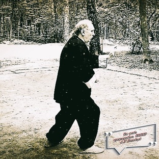 А.Г.Огнивцев. Taichi медитация.