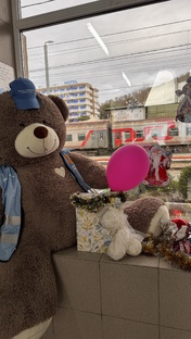 Отдых Краснодарский край 