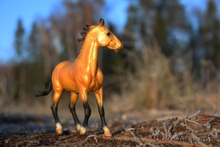 Обзоры фигурок